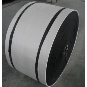 nylon conveyor belt